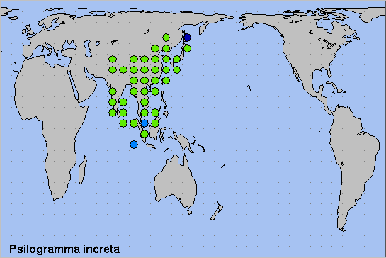 Global distribution of Psilogramma increta. Map: &copy; NHMUK.