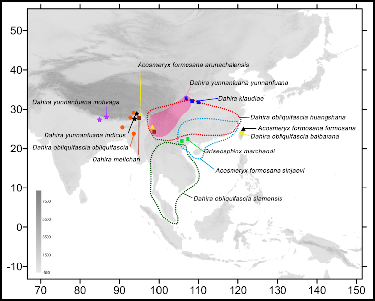 Global distribution of Acosmeryx formosana arunachalensis. Map: &copy; Jiang, Xu, Lin, Liu, Wang & Hu, 2025.