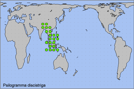 Global distribution of Psilogramma discistriga. Map: &copy; NHMUK.