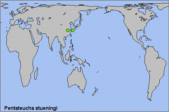 Global distribution of Pentateucha stueningi. Map: &copy; NHMUK.