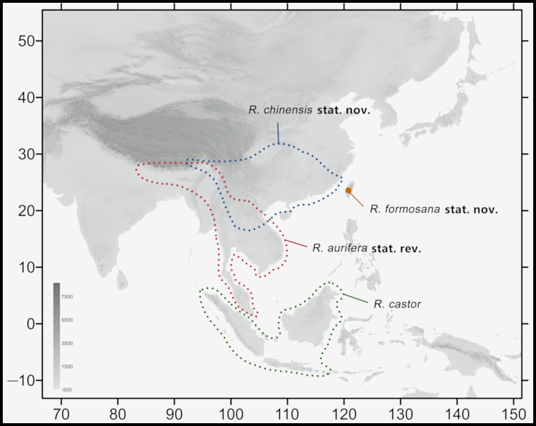 Global distribution of Rhagastis aurifera. Map: &copy; Jiang et al., 2024.
