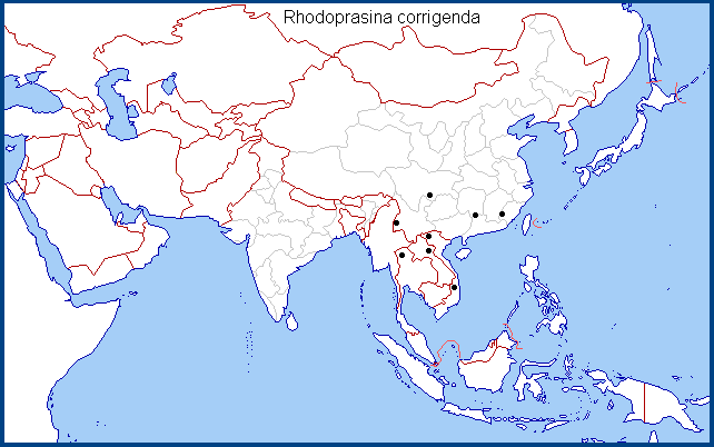 Regional distribution of Rhodoprasina corrigenda. Map: &copy; NHMUK.