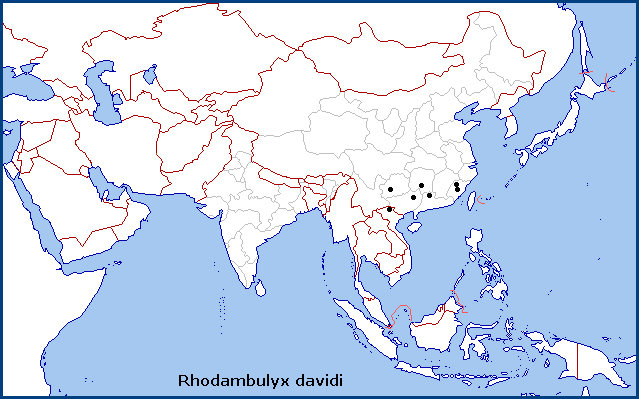 Global distribution of Rhodambulyx davidi. Map: &copy; Tony Pittaway.