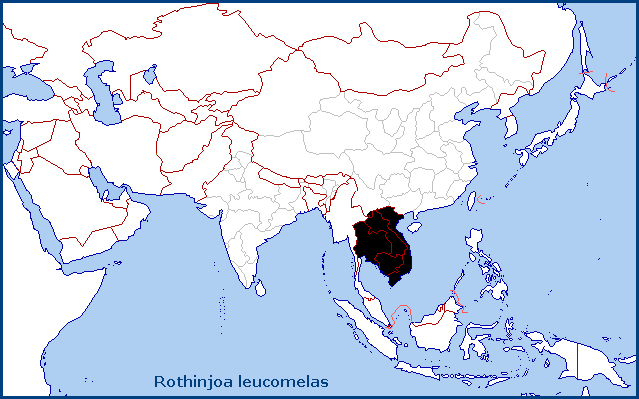 Global distribution of Rothinjoa leucomelas. Map: &copy; NHMUK.