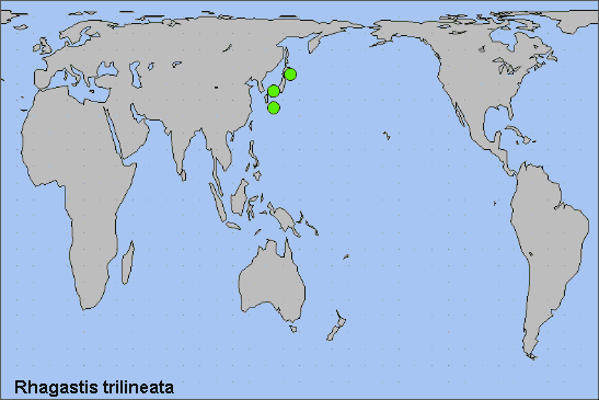 Global distribution of Rhagastis trilineata. Map: &copy; NHMUK.