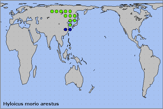 Global distribution of Hyloicus morio arestus. Map: &copy; NHMUK.