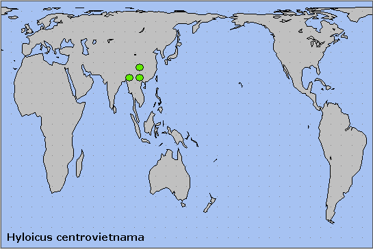 Global distribution of Hyloicus centrovietnama. Map: &copy; NHMUK.