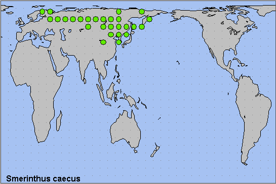 Global distribution of Smerinthus caecus. Map: &copy; NHMUK.