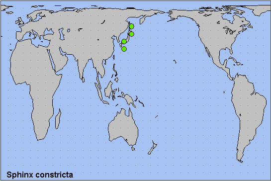 Global distribution of Sphinx constricta. Map: &copy; NHMUK.
