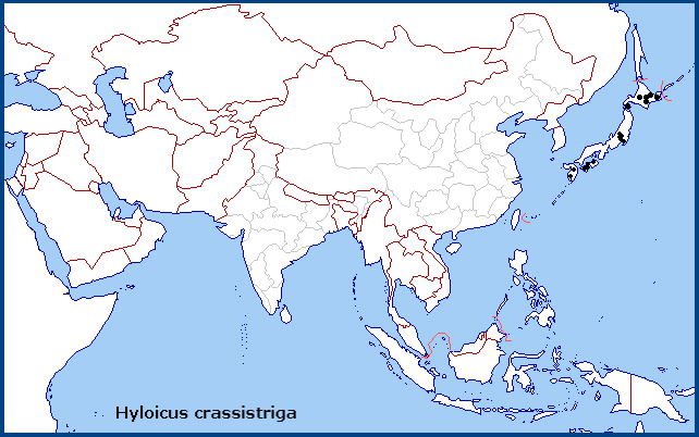 Global distribution of Hyloicus crassistriga. Map: &copy; NHMUK.