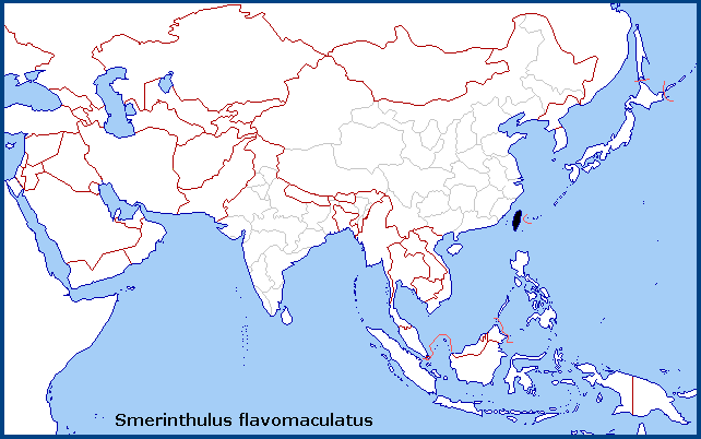 Global distribution of Smerinthulus flavomaculatus. Map: &copy; NHMUK.