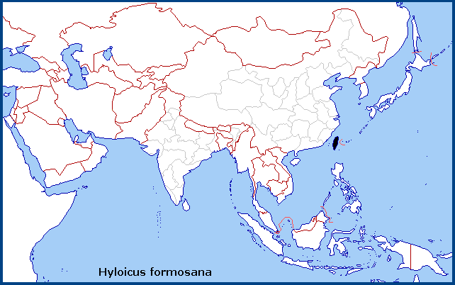 Global distribution of Hyloicus formosana. Map: &copy; NHMUK.