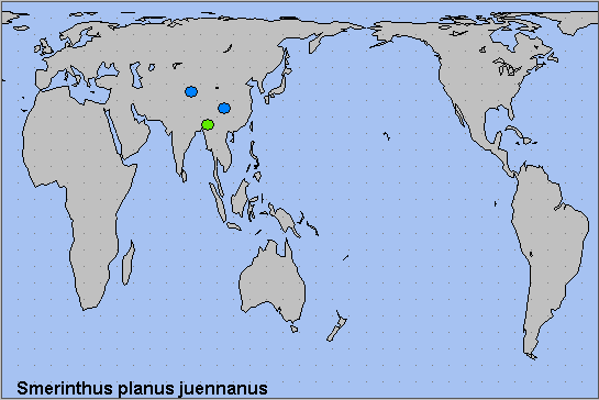 Global distribution of Smerinthus planus juennanus. Map: &copy; NHMUK.