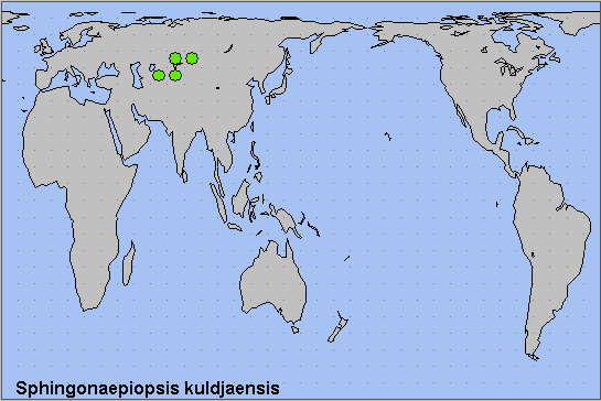 Global distribution of Sphingonaepiopsis kuldjaensis. Map: &copy; NHMUK.
