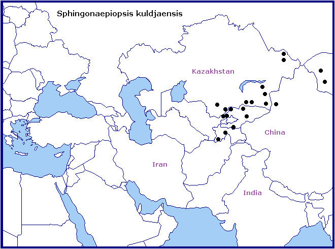 Global distribution of Sphingonaepiopsis kuldjaensis. Map: &copy; Tony Pittaway & Ian Kitching.
