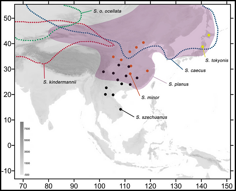 Global distribution of Smerinthus minor. Map: &copy; Jiang, Li, Yan, Wang, Zheng & Hu, 2024.