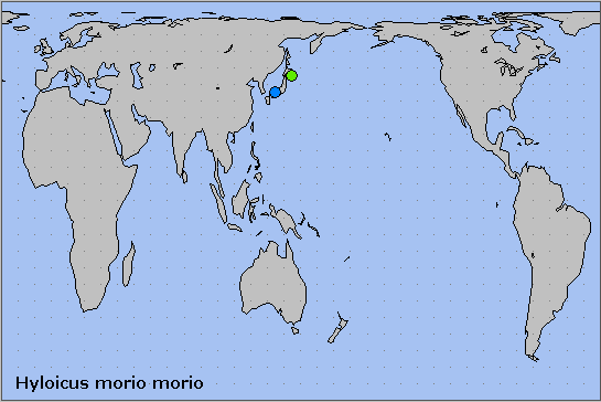 Global distribution of Hyloicus morio morio. Map: &copy; NHMUK.