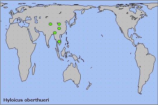 Global distribution of Hyloicus oberthueri. Map: &copy; NHMUK.