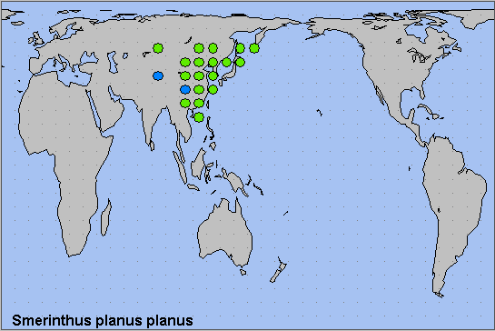 Global distribution of Smerinthus planus planus. Map: &copy; NHMUK.