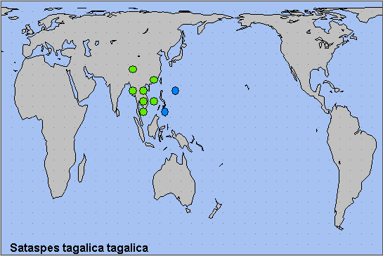 Global distribution of Sataspes tagalica tagalica. Map: &copy; NHMUK.