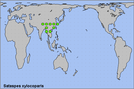 Global distribution of Sataspes xylocoparis. Map: &copy; NHMUK.