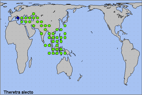Global distribution of Theretra alecto. Map: &copy; Tony Pittaway.