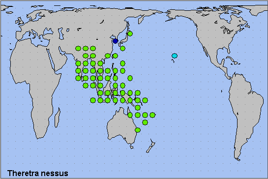 Global distribution of Theretra nessus. Map: &copy; NHMUK.