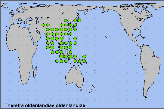 Global distribution of Theretra oldenlandiae oldenlandiae. Map: &copy; NHMUK.