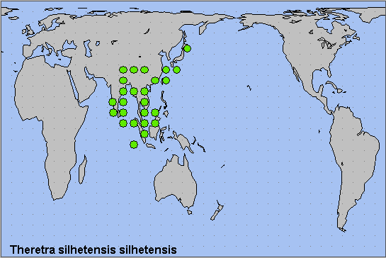 Global distribution of Theretra silhetensis silhetensis. Map: &copy; NHMUK.