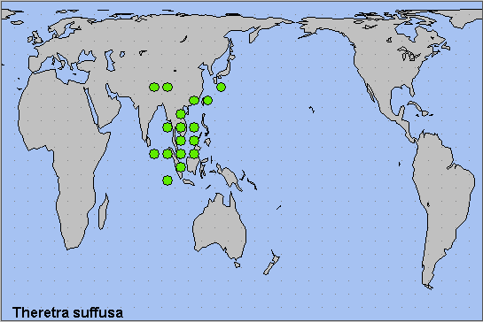 Global distribution of Theretra suffusa. Map: &copy; NHMUK.
