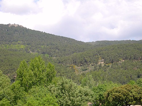 Habitat of Actias isabellae, Sierra de Guadarrama, Spain. Photo: &copy; Tony Pittaway.