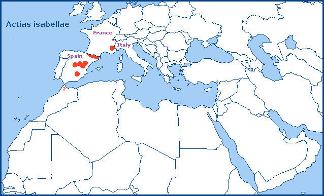 Global distribution of Actias isabellae. Map: &copy; Tony Pittaway.