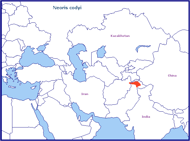 Global distribution of Neoris codyi. Map: &copy; Tony Pittaway.