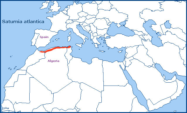 Global distribution of Saturnia atlantica. Map: &copy; Tony Pittaway.