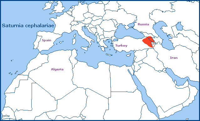 Global distribution of Saturnia cephalariae. Map: &copy; Tony Pittaway.