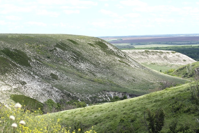 Typical habitat of Saturnia spini, Saratov/Volgograd area, southern Russia. Photo: &copy; A. Zagorinsky.