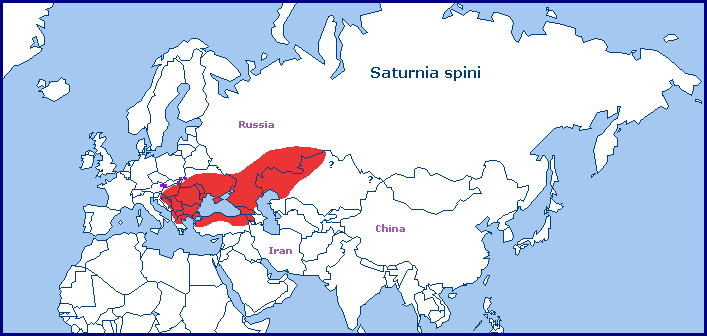 Global distribution of Saturnia spini. Map: &copy; Tony Pittaway.