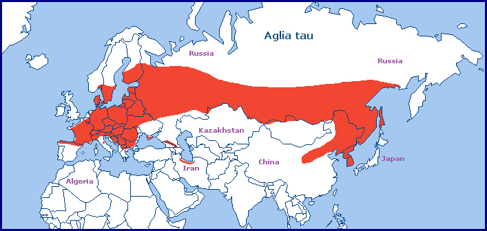 Global distribution of Aglia tau. Map: &copy; Tony Pittaway.