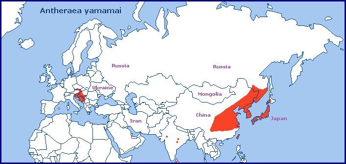Global distribution of Antheraea yamamai. Map: &copy; Tony Pittaway.