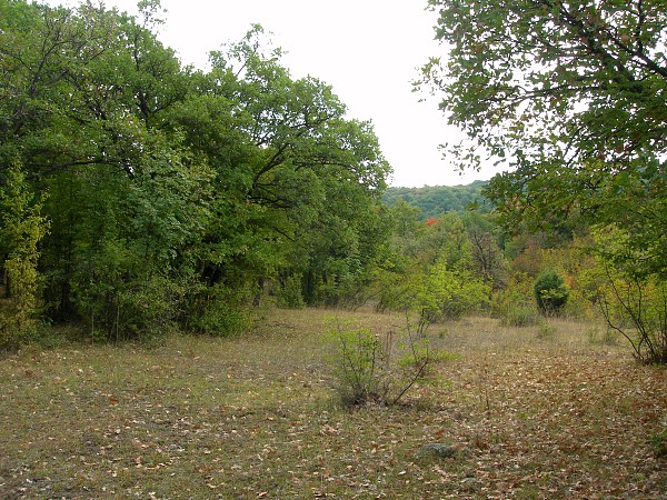 Typical habitat of Perisomena caecigena, near Madzharovo, Bulgaria. Photo: &copy; Tony Pittaway.