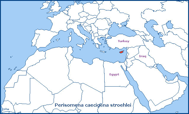 Global distribution of Perisomena caecigena stroehlei. Map: &copy; Tony Pittaway.