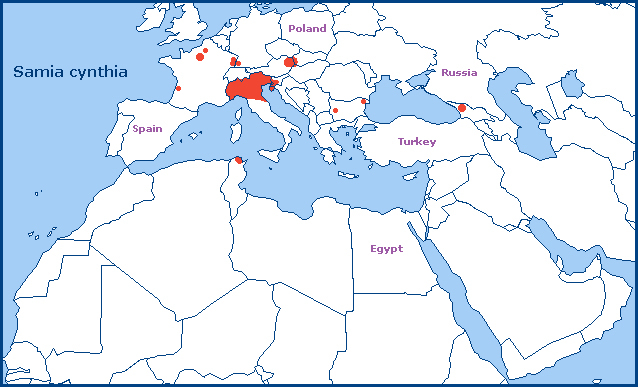 European distribution of Samia cynthia. Map: &copy; Tony Pittaway.