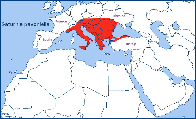 Global distribution of Saturnia pavoniella. Map: &copy; Tony Pittaway.