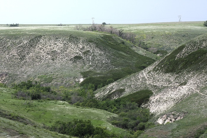 Typical habitat of Saturnia spini, Saratov/Volgograd area, southern Russia. Photo: &copy; A. Zagorinsky.