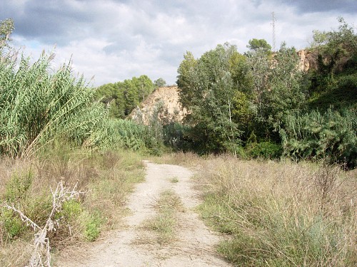 Typical habitat of Agrius convolvuli, Catalonia, Spain. Photo: &copy; Ben Trott.