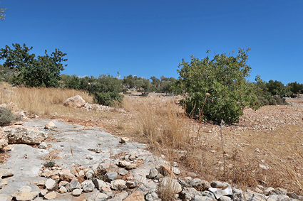 Typical habitat of Akbesia davidi, Silifke, Mersin Province, Turkey, 18.ix.2021. Photo: &copy; Vyacheslav Ivonin & Yanina Ivonina