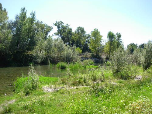 Typical riverine habitat of Deilephila elpenor elpenor, Catalonia, Spain. Photo: &copy; Ben Trott