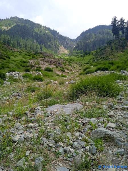 Typical habitat of Deilephila rivularis, Utror, Swat Valley, Khyber Pakhtunkhwa, Pakistan. Photo: &copy; Azan Karam.