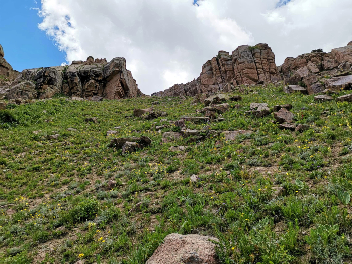 Typical alpine habitat of Hemaris alaiana, near Bishkek, Kyrgyzstan. Photo: &copy; Serge Yevdoshenko, 2019.