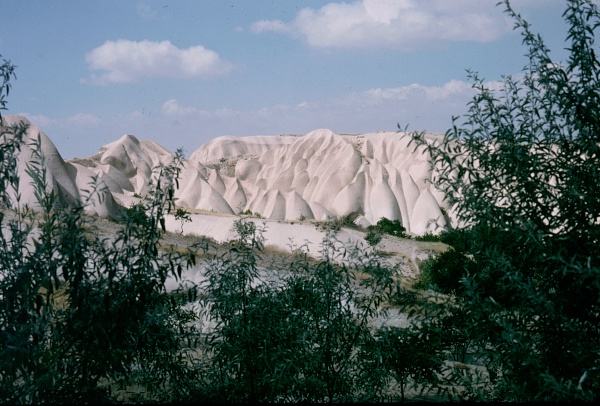 Typical habitat of Hyles hippophaes bienerti, Central Turkey. The shrub in the foreground is Elaeagnus angustifolia. Photo: &copy; Tony Pittaway.